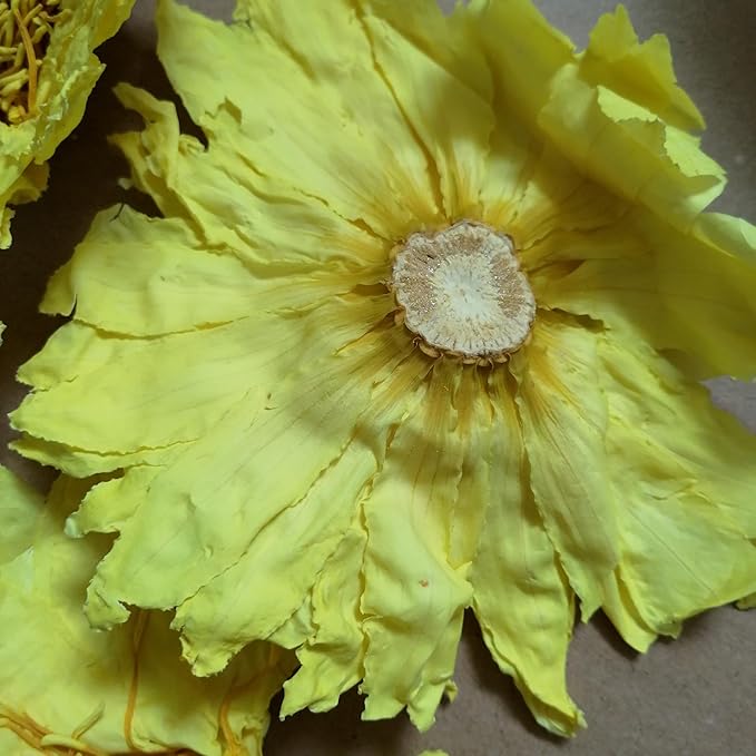 Premium Perfume Lotus Dried Natural Flowers Tea Whole Flower | Non GMO Caffeine-free | 1oz(28g)