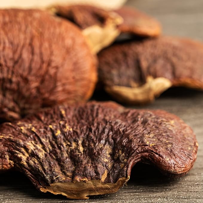 PURE ORIGINAL INGREDIENTS Reishi Mushroom (1lb) Lingzhi Traditional Supplement Non-GMO Lab-Verified