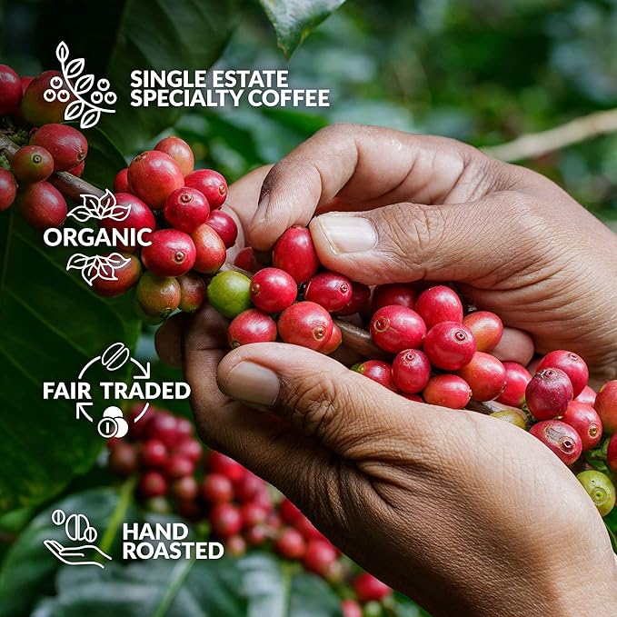 Original Gourmet Coffee Gift Set for Men &amp Women - 14 World's Finest Single Origin Specialty &amp Organic Coffees in Innovative Brewers | Sampler Box for Coffee Lover to Brew &amp Enjoy Anytime