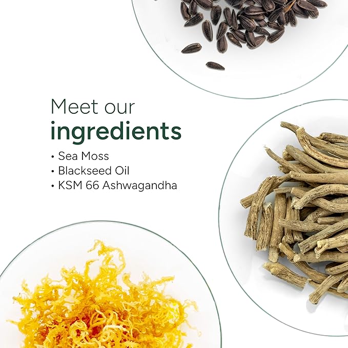 Sea Moss Gummies I 92+ Minerals I Black Seed Oil I KSM 66 Ashwagandha I Lab Tested I No Added Sugar | for Men Women I Non-GMO I 100% Natural &amp Organic I 1600 mg I 60 Gummy
