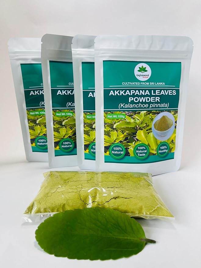 Organic Kalanchoe pinnata Leaves Powder 100g (Bryophyllum Pinnatum) Miracle leaf air plants Herbal Powder - Ceylonwood Herbals