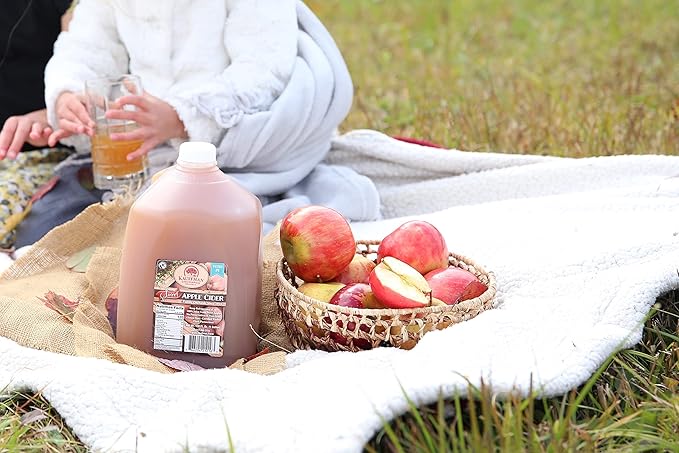 Kauffman's Fruit Farm Orchards Homemade Fresh-Pressed Apple Cider Frozen for Shipping 0.9 Gallon