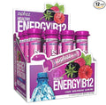 Zipfizz Daily Energy Drink Powder Berry 12 Pack | 3-in-1 Sustained Energy Rapid Hydration and Essential Vitamins | Sugar-Free | Electrolyte Powder | Contains Vitamin B-12 &amp Antioxidants