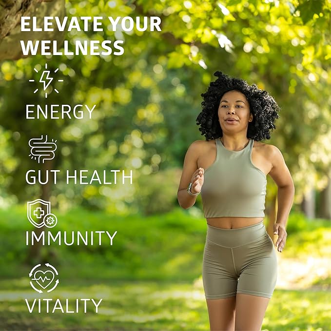 2 Pack N1N Premium 10 in 1 Immune Support Supplement [10 Potent Ingredients] with Elderberry Vitamin C Zinc Echinacea Turmeric Curcumin Garlic and Probiotics for Adults 120 Veg Caps
