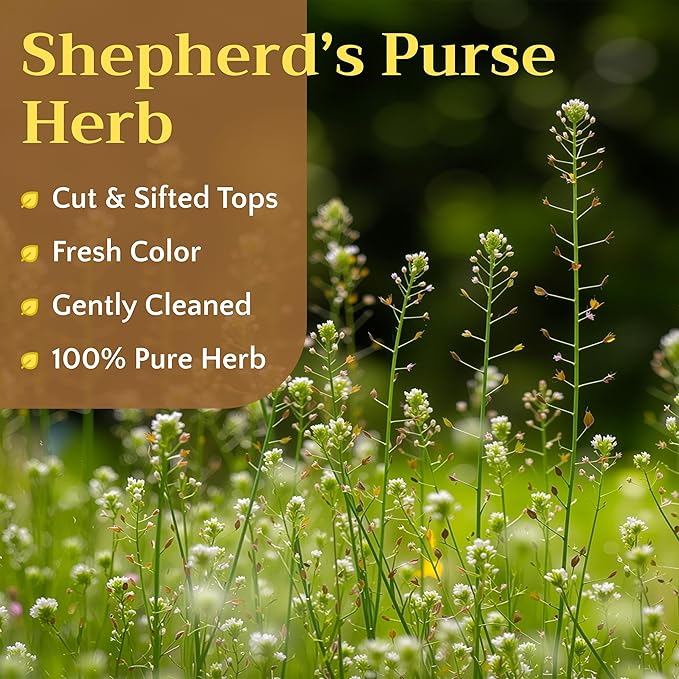 Shepherd's Purse Dried Herb - Shepherds Purse Tea - Cut &amp Sifted Natural Capsella Bursa-Pastoris - Bolsa De Pastor Hierba - Bulk 1 lb (16 oz)