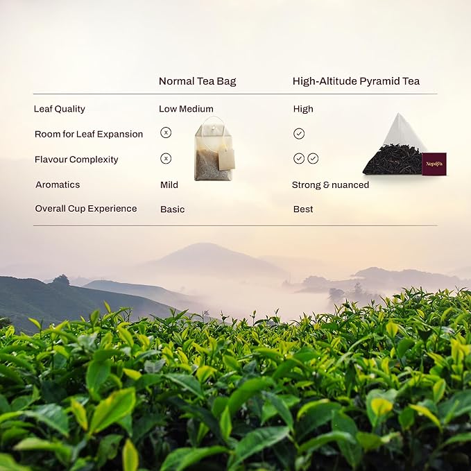 Hibiscus Raspberry Herbal Tea Bags Caffeine Free Pyramid Tea Bags Fruity Berry Blend with Rosehip Lemongrass &amp Orange Peel Hot or Ice Tea 50 Biodegradable Bags