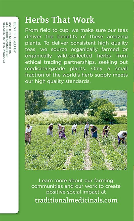 Traditional Medicinals Organic Green Tea Peppermint Herbal Tea Alleviates Digestive Discomfort (Pack of 3) - 48 Tea Bags Total