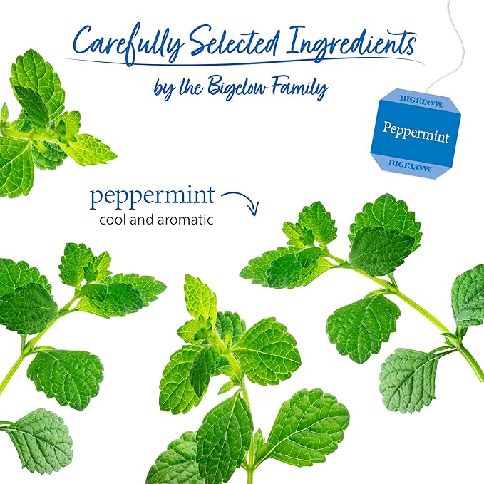Bigelow Tea Peppermint Herbal Tea Caffeine Free Tea with Peppermint 20 Count Box (Pack of 6) 120 Total Tea Bags