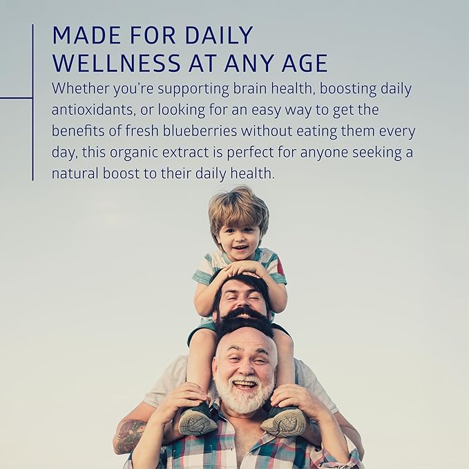 Number One Nutrition USDA Organic Wild Blueberry Extract Equivalent to 24 Whole Blueberries Supports Immune Health 120 Vegan Capsules