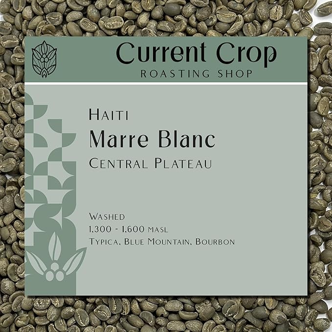 Current Crop Roasting Shop Haiti Marre Blanc Coffee Beans – Central Plateau Haitian Coffee – Smooth &amp Balanced Profile with Almond &amp Peanut Notes 3 lb bag