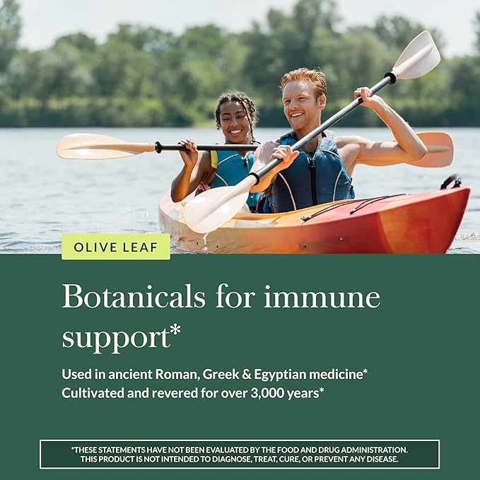 Gaia Herbs Olive Leaf - Traditional Immune Health Support - Immune System Supplement with Olive Leaf Extract &amp Oleuropein* - 120 Vegan Liquid Phyto-Caps (120 Servings)