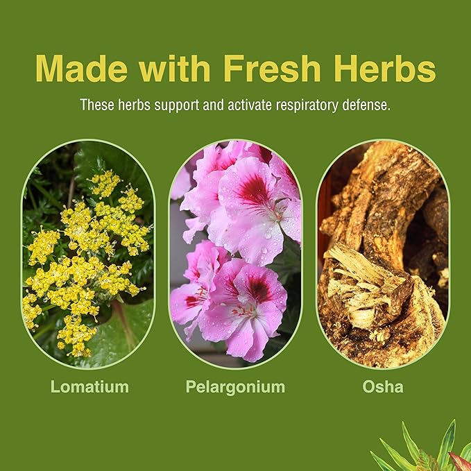 Herbs Etc. Loviral - Lung Health Supplement for Respiratory Defense &amp Support - Herbal Supplement with Lomatium Pelargonium &amp OSHA - Gluten-Free - 60 Softgels (60 Servings)