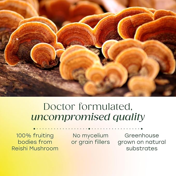MegaFood Superfood Mushroom Stress Relief - Reishi Mushroom Supplement Clinically Studied to Reduce Stress - Doctor Formulated with Ashwagandha KSM 66 - Vegan Gluten-Free - 60 Capsules 30 Servings