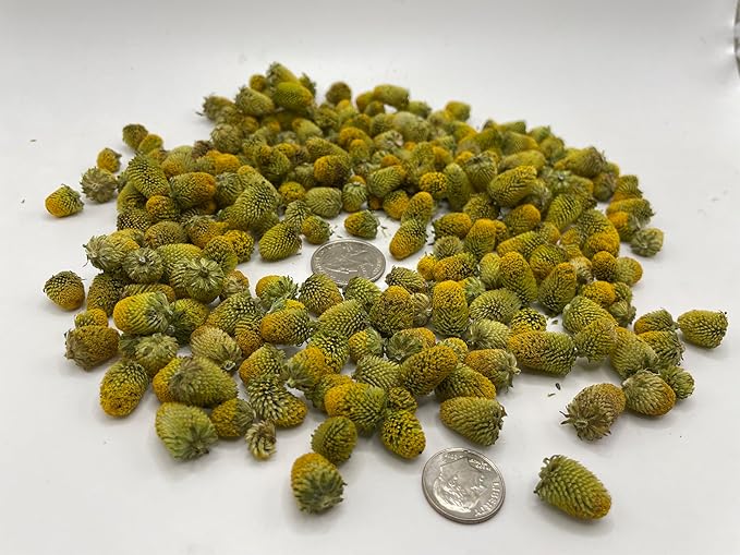 DRIED Buzz Buttons Edible Flowers aka Spilanthes aka Toothache Plant (1 Ounce Tincture Grade)