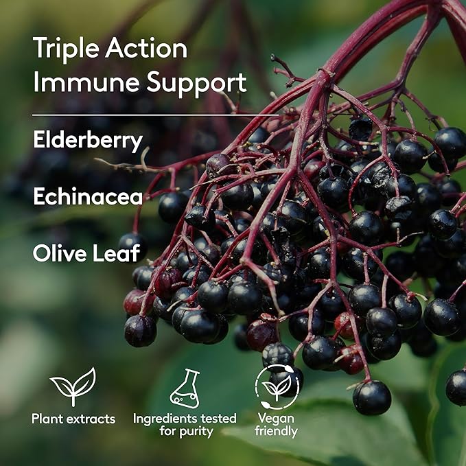 Children's Immune + Wellbeing Herbal Syrup Daily Immunity with Elderberry Echinacea &amp Olive Leaf High Absorption Elderberry Flavor Plant-Based - 5.1 Fl oz (30 Servings)