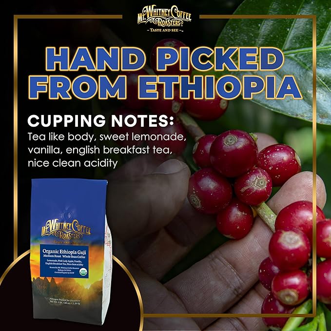 Mt. Whitney Organic Ethiopia Guji Coffee (Whole Bean 5 Lb)