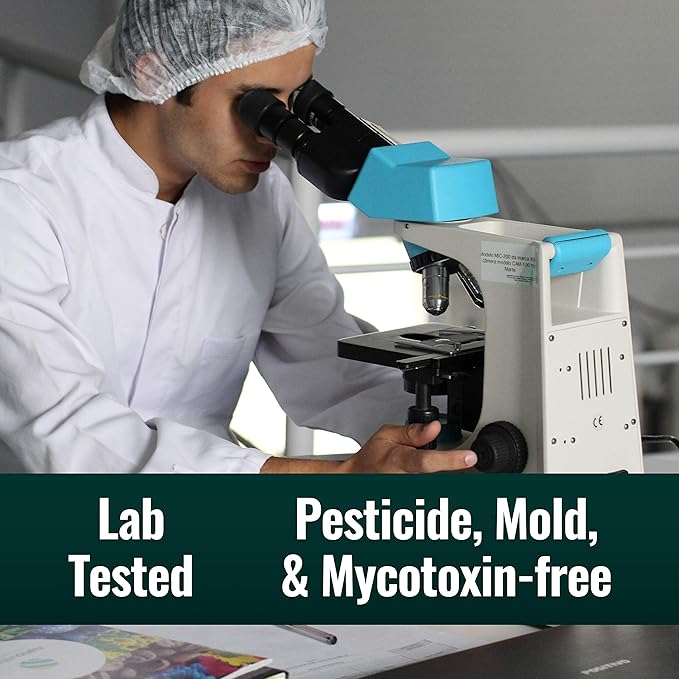 Natural Force - Organic Clean Coffee Dark Mold &amp Mycotoxin Free Lab Tested for Toxins &amp Purity Low Acidity Incredible Taste &amp Aroma Founder's Select Whole Bean Dark Roast 12 oz