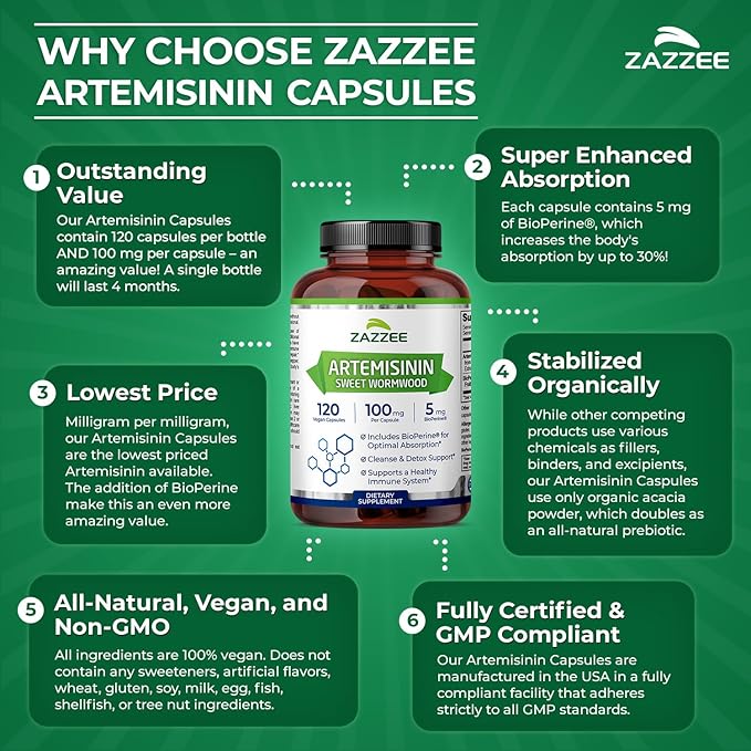 Zazzee High Absorption Artemisinin 100 mg per Capsule 120 Vegan Capsules with 5 mg BioPerine for Maximum Absorption Sweet Wormwood Extract 4 Month Supply All-Natural and Non-GMO