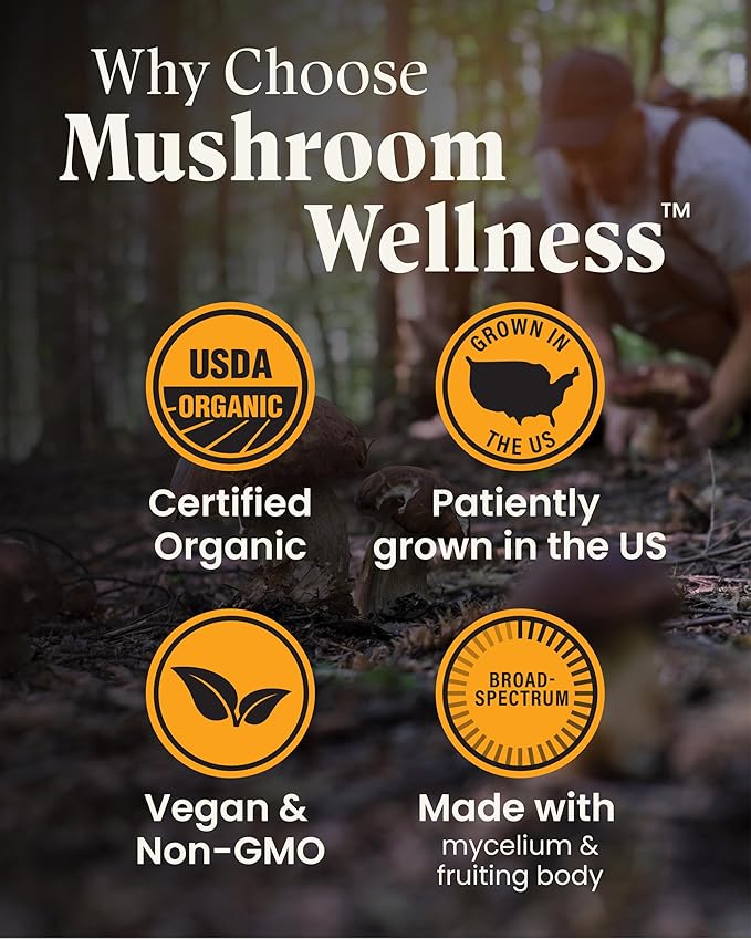 Mushroom Wellness Lion’s Mane Blend with Reishi: Organic Lion's Mane &amp Reishi Mushroom Capsules Mushroom Powder Supplement Supports Cognitive Health Memory and Mental Focus 90 Vegan Capsules
