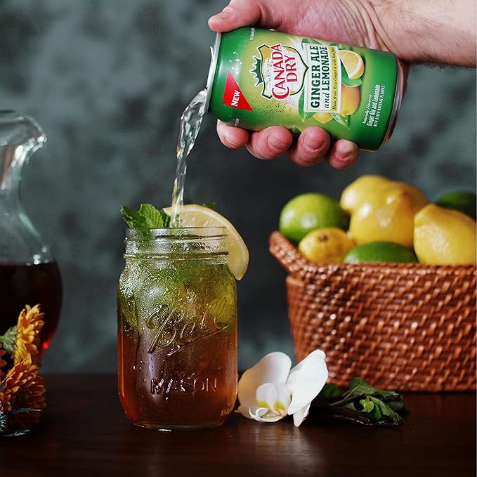 Canada Dry Ginger Ale and Lemonade 12 fl oz cans (pack of 12)