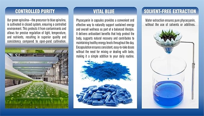 PHARMAKON Blue Spirulina Phycocyanin | Prebiotic Bioactive Superfood | Solvent-Free Extraction (90 Count)