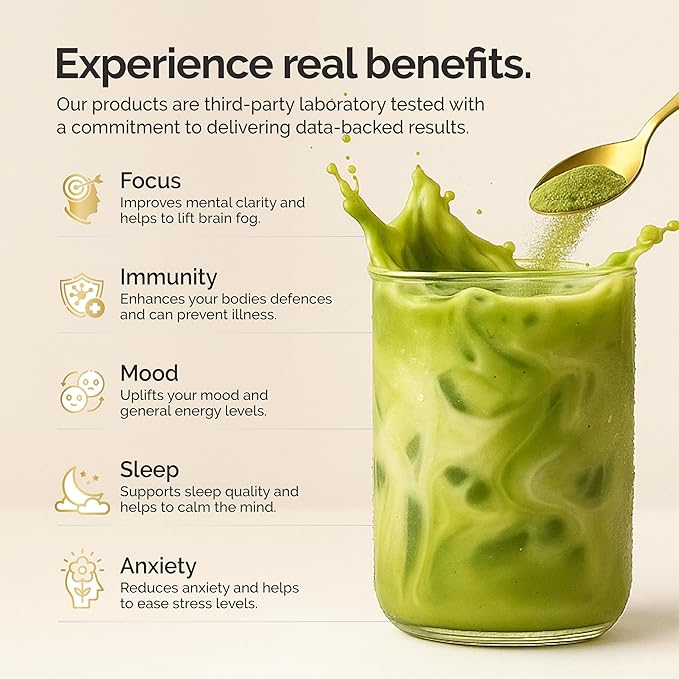 Matcha Mushroom Coffee Superfood Blend 10X Concentrated Extract with Lion's Mane Reishi &amp Cordyceps Energy &amp Focus Support 30 Servings Premium Supplement Powder