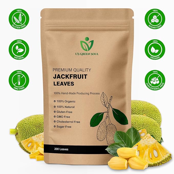 Jackfruit Leaves – Naturally Dried Herbal Leaves – Pure Artocarpus Heterophyllus Leaves for Tea &amp Traditional Preparations