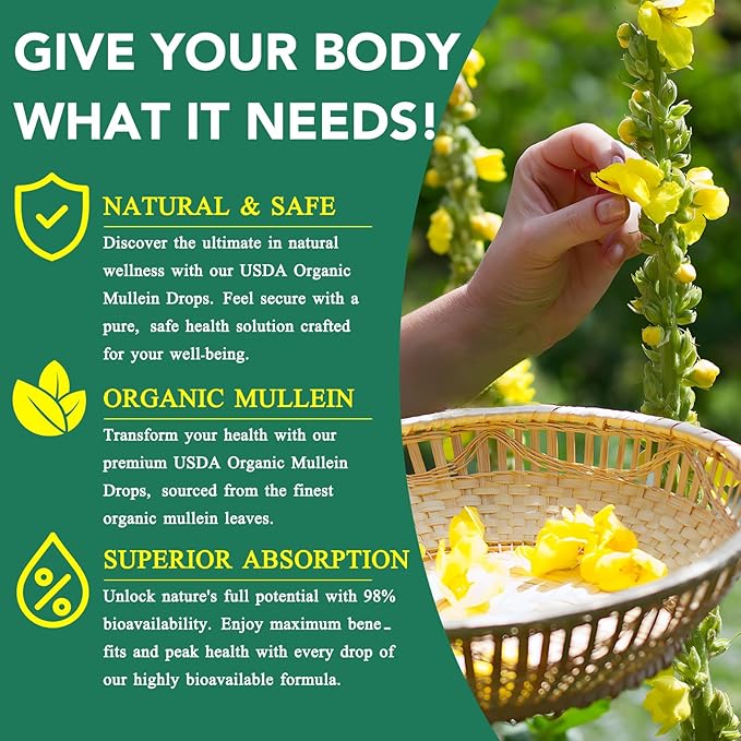2 Pack Mullein Drops for Lungs Mullein Leaf Extract with ChlorophyllMullein Leaf Extract for Lung Cleanse and Respiratory Support -2 Bottles