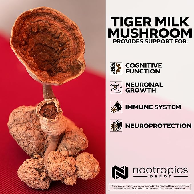 Nootropics Depot Tiger Milk Mushroom Capsules | 300mg | 180 Count | Lignosus rhinocerus Sclerotium | Cognition Histamine &amp Respiratory Support