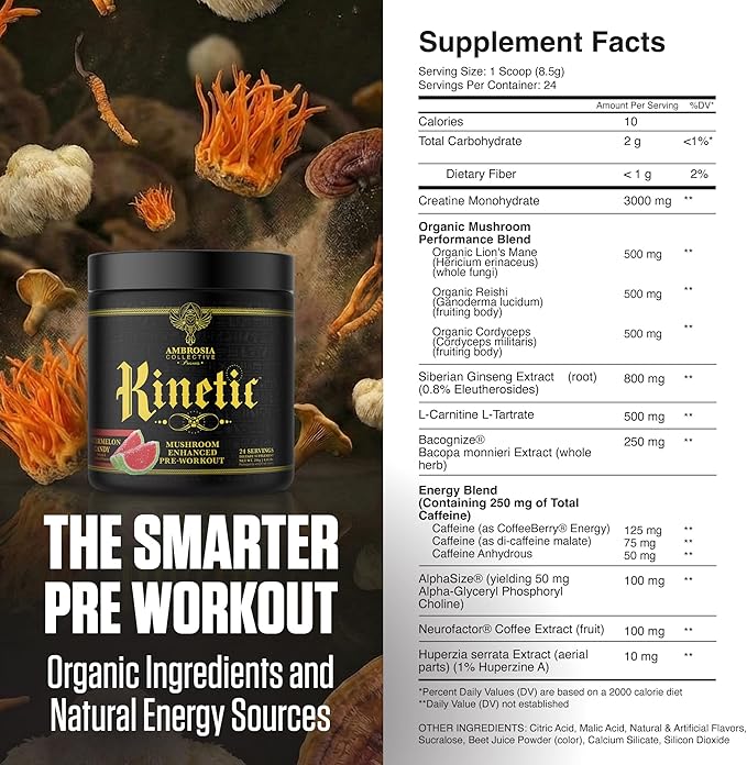 Ambrosia Kinetic - Organic Pre Workout Powder | Mushroom-Enhanced Natural Pre Workout | Nootropic Superfood Powder for Clean Energy Focus Recovery | 24 Servings | Watermelon Candy