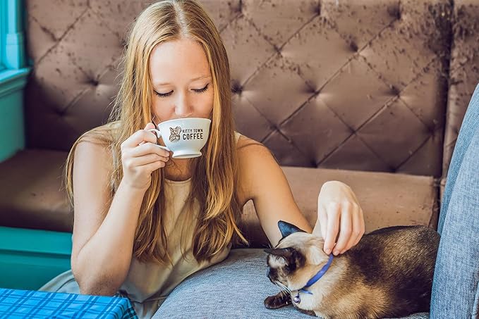Kitty Town Coffee: Isabelle's Cold Brew Blend Medium Roast Coffee From Guatemala &amp Brazil 2lb (32oz) Ground