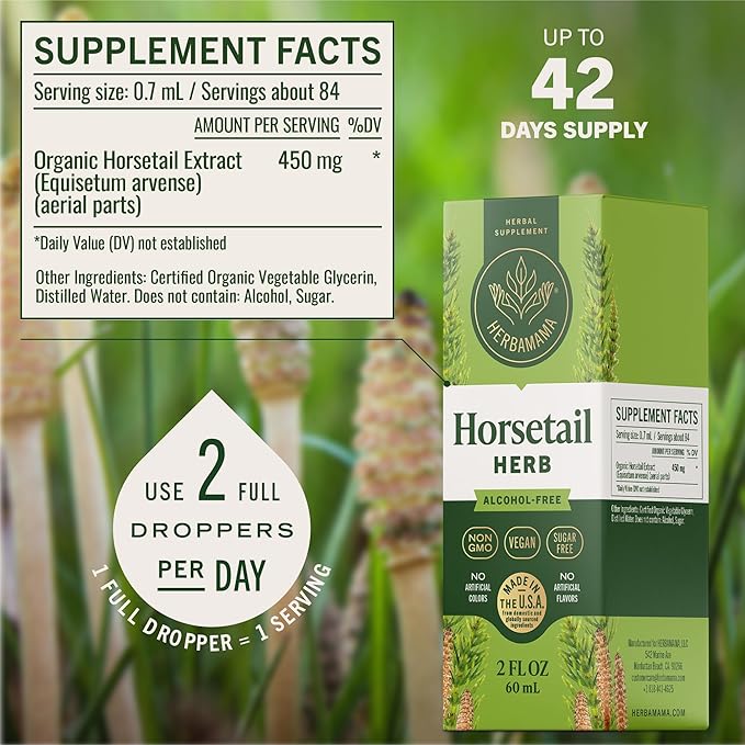 HERBAMAMA Horsetail Supplement Drops - Vegan Hair Nail &amp Skin Care with Horsetail Extract - Non-GMO Alcohol &amp Sugar-Free Liquid Hair Strengthening Tincture 42-Day Supply