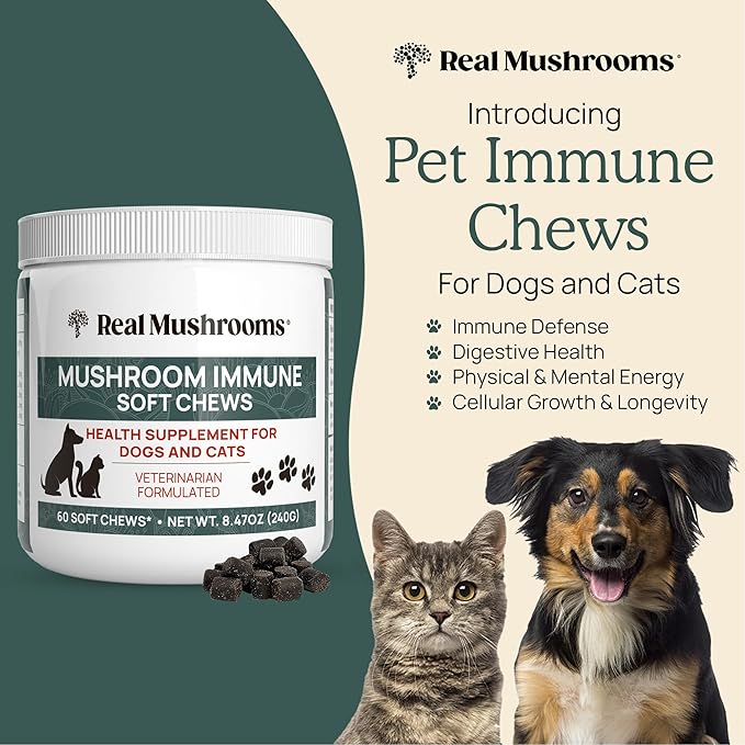 Real Mushroom Immune Pet Chews – For Daily Digestive &amp Immune Health – Mushrooms for Dogs &amp Cats Functional Treat – Mushroom Supplement for Dogs &amp Cats – 1 to 4 Chews For All Breeds &amp