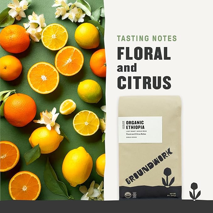 GROUNDWORK Ethiopia Heirloom Blend - Whole Bean Coffee Light Roast - Organic Single Origin Coffee - 2lb Bag