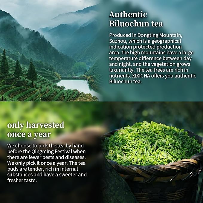 XIXICHA Biluochun Green Tea New Tea Grade AAA Dongting Bi Luo Chun Chinese Green Tea Loose Leaf Pi Luo Chun Floral And Fruity Fragrance （96 cups）碧螺春 绿茶 明前茶 120g/4.23oz