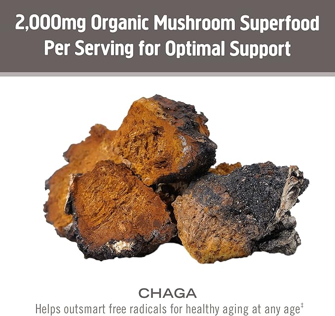 OM MUSHROOM SUPERFOOD Chaga Organic Mushroom Powder 7.05 Ounce Pouch 100 Servings US Grown Sacred Antioxidants &amp Immune Support Superfood Mushroom Supplement