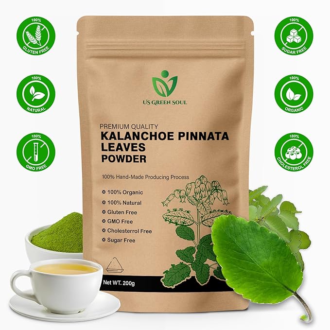 100g Kalanchoe Pinnata Leaves Powder - Healthy Well-Cleaned Dried Organic Leaves Powder No Additives 100% Pure &amp Natural