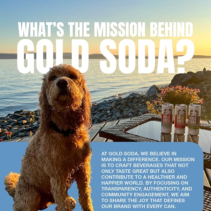 Gold Soda - Natural Ingredients - Organic Cane Sugar - Non-GMO - No Preservatives - Monk Fruit - Sparkling Water - Made with Natural and Organic Flavors12 Fl Oz (24 Pack) (24 Pack Ginger Apple)