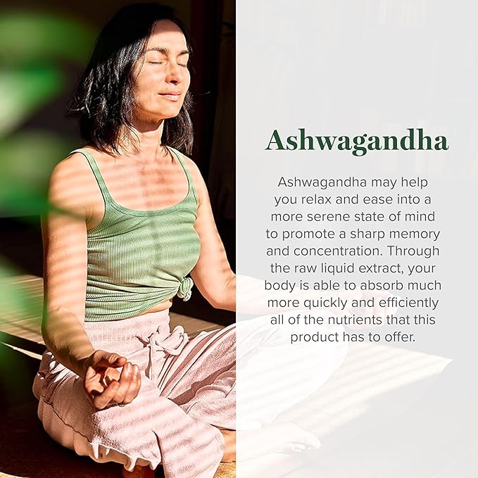 Global Healing Center - Organic Ashwagandha Supplements Drops - KSM-66 Ashwagandha Extra Strength for Men &amp Women Helps Promote Relief from Stress Mood Support Organic (2 Fl Oz) (Pack of 2)