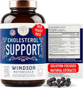 WINDSOR BOTANICALS Cholesterol Supplements - Citrus Bergamot Niacin Red Yeast Rice Berberine Aronia Berry Extract to Support Normal HDL and LDL Cholesterol Levels - 90 Vegan Non-GMO Capsules