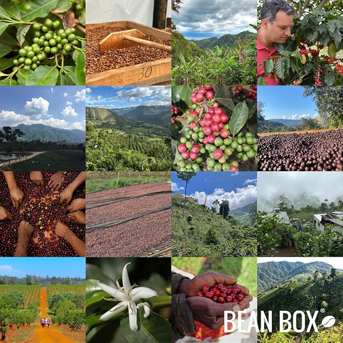 Blue Heron Espresso Nicaragua Selva Negra - Dark - Roasted by Amrita Certified Pure - Freshly Ground Coffee - 2 Pound Bag
