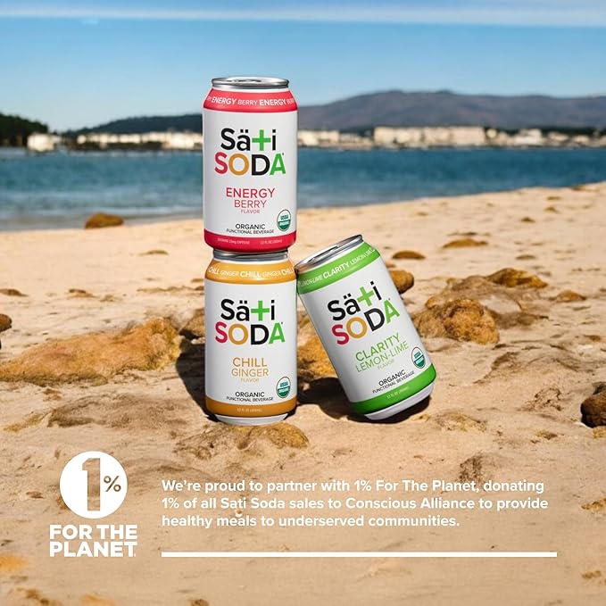 Sati Soda Ginger – Functional Ginger Soda with Chamomile – Low Sugar (9g) Organic Sparkling Drink for Calm &amp Digestion – Healthy Soda Alternative – 12 Pack