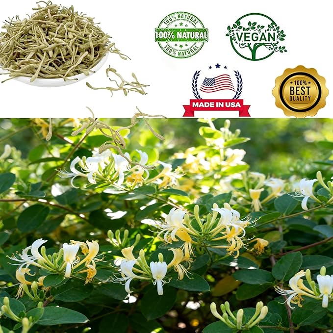 DABC OAK LAND Premium Dried Honeysuckle Tea Jin Yin Hua Honeysuckle Flowers Buds Wild Lonicera Japonica Chinese Traditional Loose Herbal Tea Caffeine Free - Refreshing &amp Clean Taste 金银花 8OZ/Bag