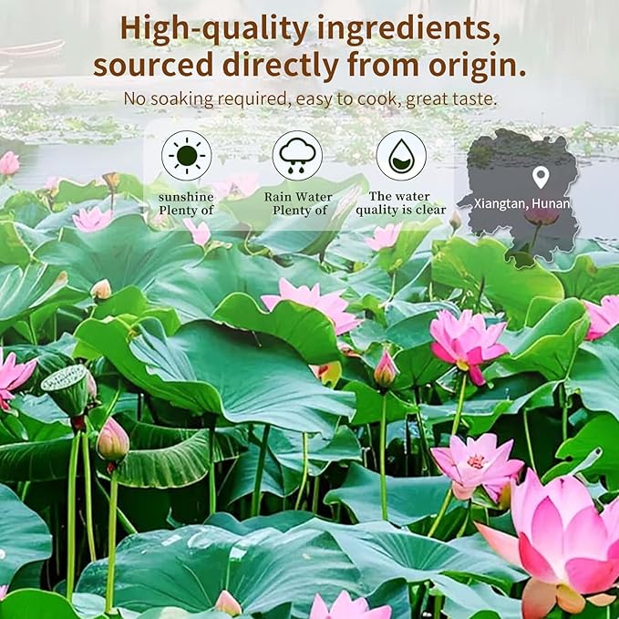Baihuatang Natural Lotus Seeds for Tea Porridge Natural Dried White Lotus Seeds (Lian Zi) - 300g Herbal Tea &amp Cooking Ingredient Perfect for Porridge Soup and Traditional Recipes 莲子 百合银耳莲子羹原料