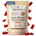 TrueSeaMoss Gummies 3000mg – Irish Sea Moss with Bladderwrack &amp Burdock Root – 3-in-1 Formula – Fruity Flavor – 60 Gummies