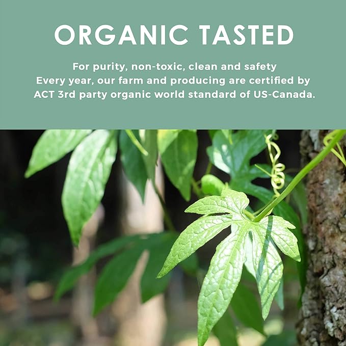 Organic Gynostemma Tea - Jiaogulan Tea 3.52 OZ – Certified USDA &amp EU Organic – Loose Leaf - Caffeine Free - Directly from Thailand Local farmer - Eternal life Herb - Northlandtea