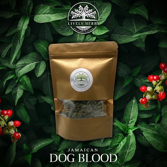 Generic Dirty Treasures JM Jamaican Dog Blood Herb (Fertility Bush) Rivina Humilis (2oz)