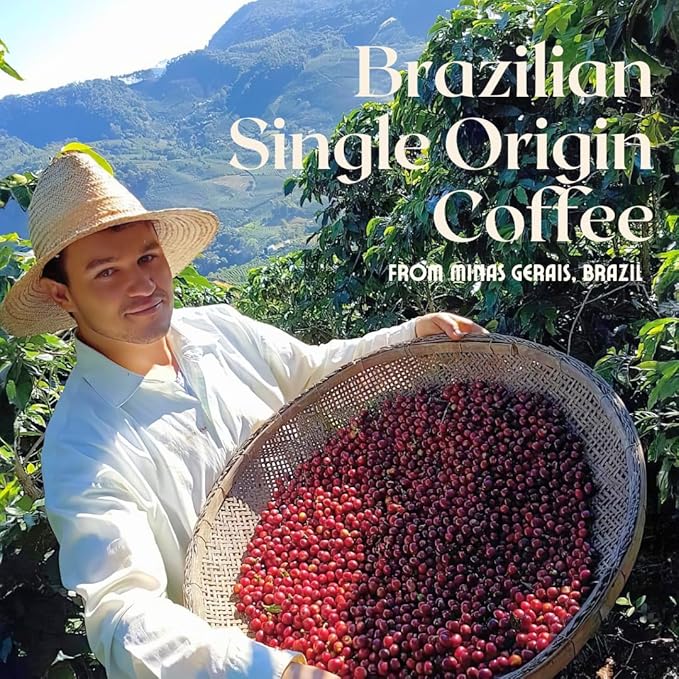 Rio Café de Brazil Whole Bean Coffee Medium Dark Roast 2.0 Pound (Pack of 1)