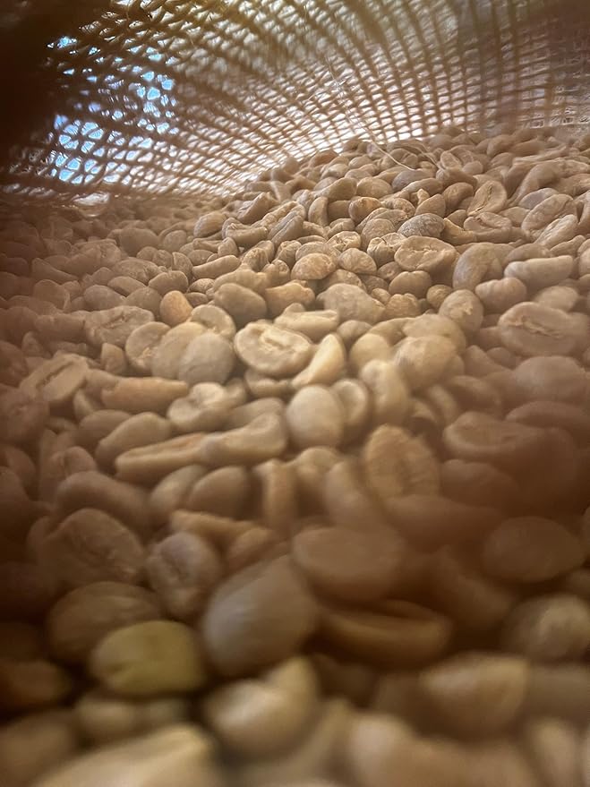 Lola Savannah Texas Pecan Whole Bean Caffeinated Coffee 2lb