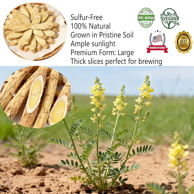 Premium Astragalus Root Slice Radix Astragali Slices100% Pure &amp Natural Huang Qi Huangqi Dried Pure Chinese Herbs for Immune Support Dried Astragalus Root for Tea Soup 黄芪片 16OZ/Bag